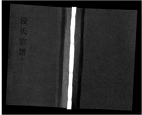 [下载][段氏宗谱_不分卷]安徽.段氏家谱_二.pdf