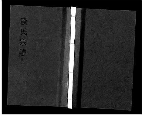 [下载][段氏宗谱_不分卷]安徽.段氏家谱_八.pdf