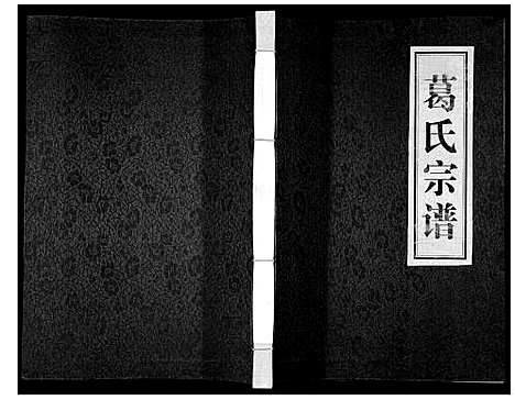 [下载][葛氏宗谱_不分卷]安徽.葛氏家谱.pdf