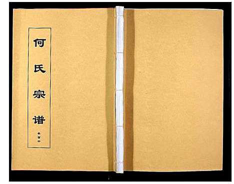 [下载][何氏宗谱_8卷首2卷]安徽.何氏家谱_二.pdf