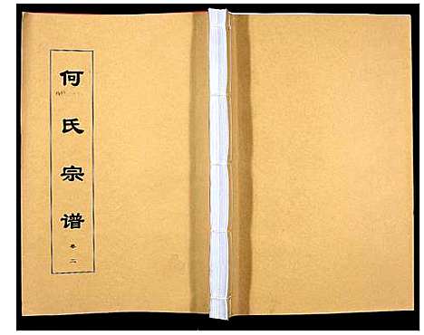 [下载][何氏宗谱_8卷首2卷]安徽.何氏家谱_四.pdf