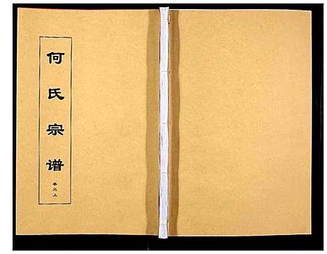 [下载][何氏宗谱_8卷首2卷]安徽.何氏家谱_五.pdf