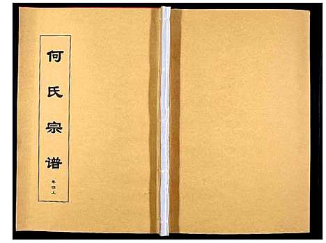 [下载][何氏宗谱_8卷首2卷]安徽.何氏家谱_七.pdf