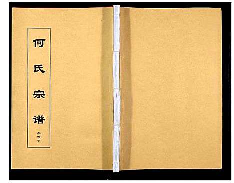 [下载][何氏宗谱_8卷首2卷]安徽.何氏家谱_八.pdf