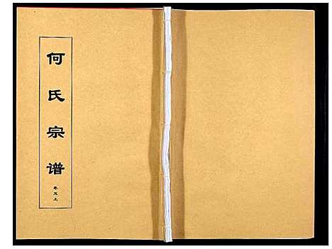 [下载][何氏宗谱_8卷首2卷]安徽.何氏家谱_九.pdf