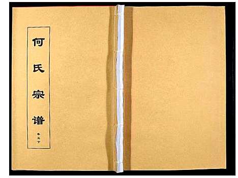 [下载][何氏宗谱_8卷首2卷]安徽.何氏家谱_十.pdf