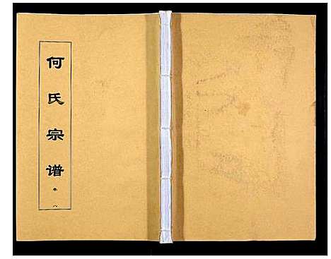 [下载][何氏宗谱_8卷首2卷]安徽.何氏家谱_十三.pdf