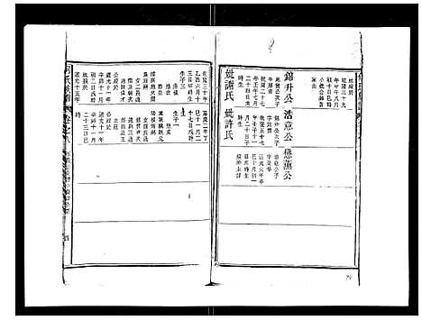 [下载][何氏族谱_10卷首末各1卷]安徽.何氏家谱_八.pdf