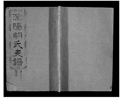 [下载][安定郡潜阳胡氏支谱]安徽.安定郡潜阳胡氏支谱_一.pdf