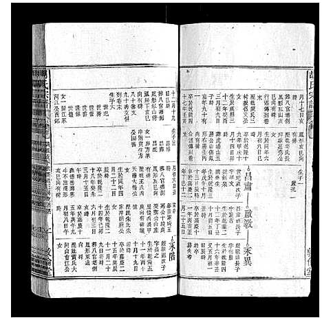 [下载][胡氏宗谱]安徽.胡氏家谱_四十五.pdf