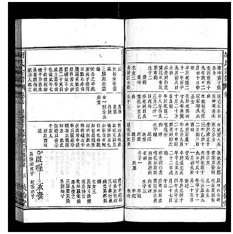 [下载][胡氏宗谱]安徽.胡氏家谱_四十九.pdf