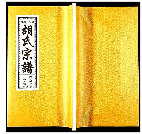 [下载][胡氏宗谱]安徽.胡氏家谱_八.pdf