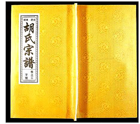 [下载][胡氏宗谱]安徽.胡氏家谱_十一.pdf