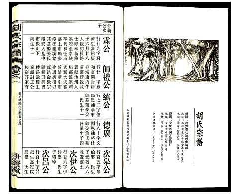 [下载][胡氏宗谱]安徽.胡氏家谱_三.pdf