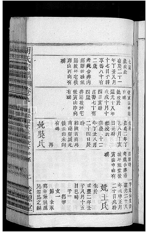 [下载][胡氏宗谱_17卷首2卷]安徽.胡氏家谱_九.pdf