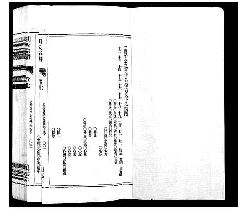 [下载][胡氏宗谱_21卷首1卷]安徽.胡氏家谱_八.pdf