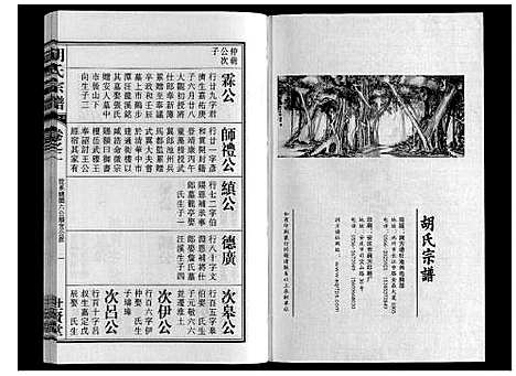 [下载][胡氏宗谱_7卷首1卷]安徽.胡氏家谱_三.pdf