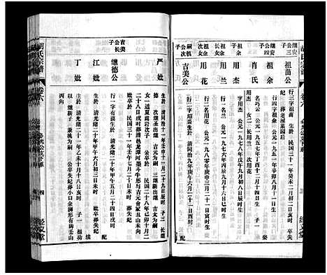 [下载][胡氏宗谱_8卷首1卷]安徽.胡氏家谱_四.pdf