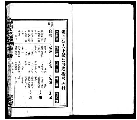 [下载][芜湖胡氏宗谱_24卷]安徽.芜湖胡氏家谱_十九.pdf