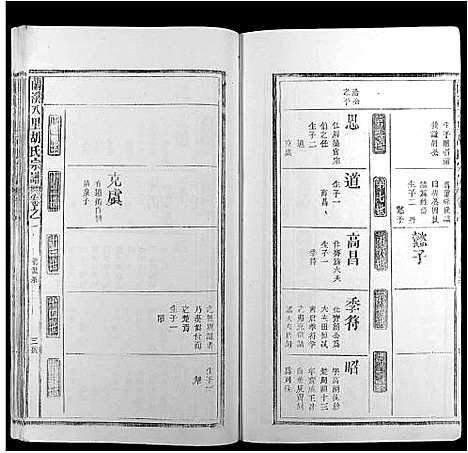 [下载][兰溪八里胡氏宗谱_6卷首末各1卷]安徽.兰溪八里胡氏家谱_二.pdf