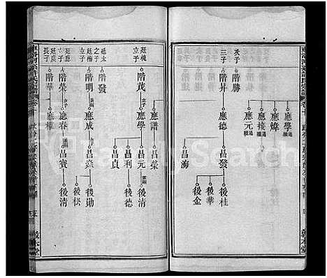 [下载][车洛河系许氏六修宗谱_8卷_世系25卷_车洛河系许氏乙亥六修宗谱三十三卷_车洛河系许氏宗谱]安徽.车洛河系许氏六修家谱_十三.pdf