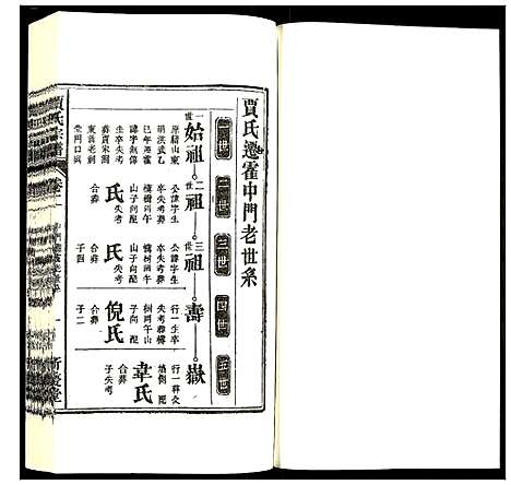 [下载][贾氏宗谱]安徽.贾氏家谱_二.pdf