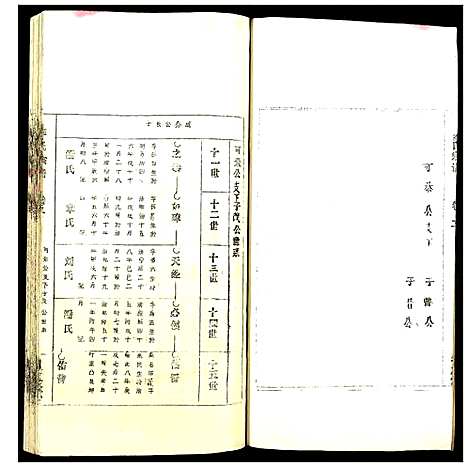 [下载][李氏宗谱]安徽.李氏家谱_三.pdf