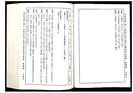 [下载][李氏宗谱]安徽.李氏家谱_二.pdf