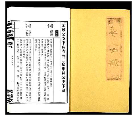 [下载][李氏宗谱_30卷]安徽.李氏家谱_九.pdf