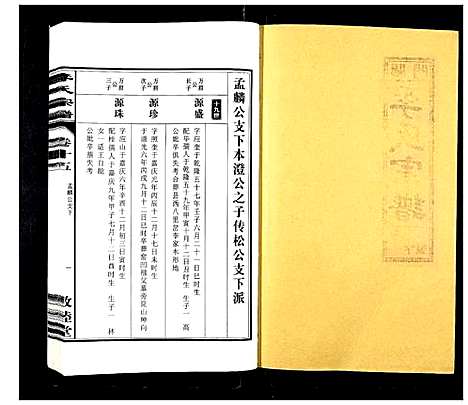 [下载][李氏宗谱_30卷]安徽.李氏家谱_十五.pdf