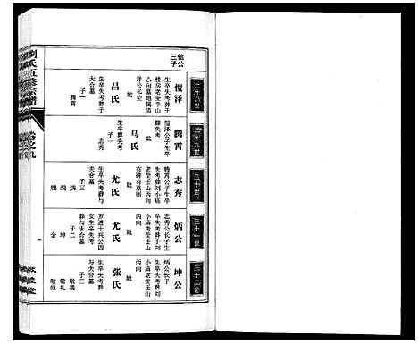 [下载][刘氏五修宗谱_10卷]安徽.刘氏五修家谱_九.pdf