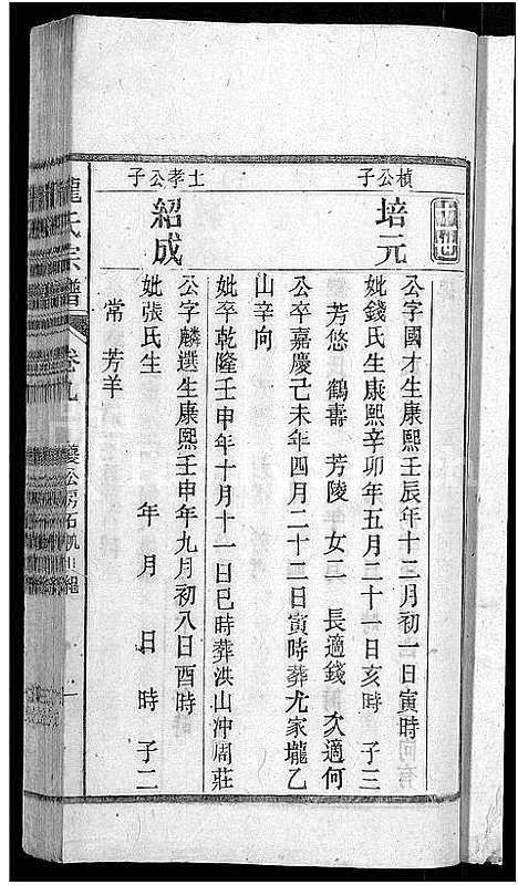 [下载][龙氏宗谱_44卷_含卷首]安徽.龙氏家谱_九.pdf