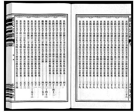 [下载][罗氏宗谱]安徽.罗氏家谱_八.pdf