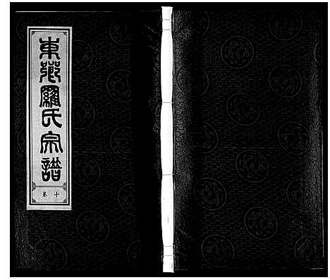 [下载][罗氏宗谱]安徽.罗氏家谱_十一.pdf