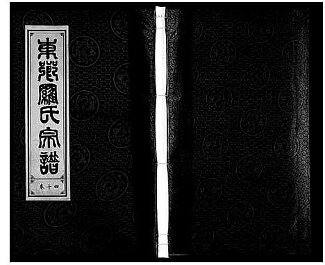 [下载][罗氏宗谱]安徽.罗氏家谱_十五.pdf