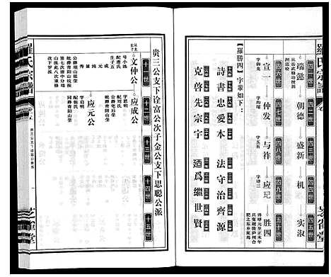 [下载][罗氏宗谱]安徽.罗氏家谱_十六.pdf