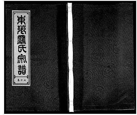 [下载][罗氏宗谱]安徽.罗氏家谱_十八.pdf