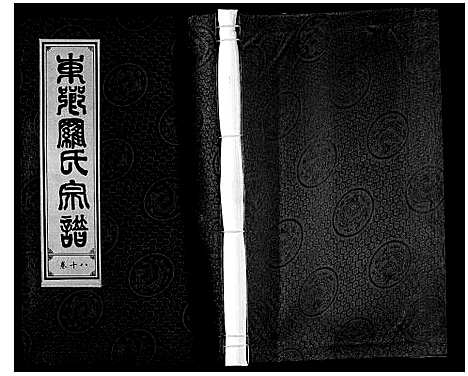 [下载][罗氏宗谱]安徽.罗氏家谱_十九.pdf