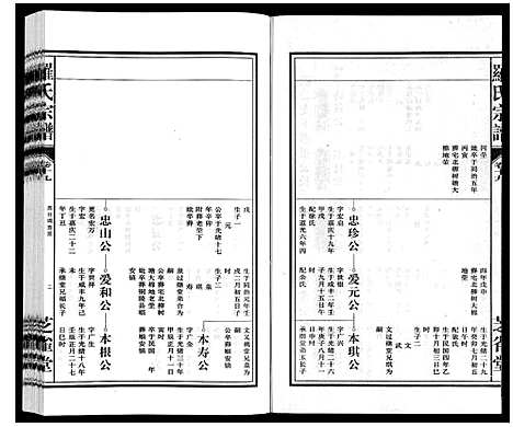 [下载][罗氏宗谱]安徽.罗氏家谱_二十.pdf