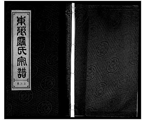 [下载][罗氏宗谱]安徽.罗氏家谱_二十四.pdf