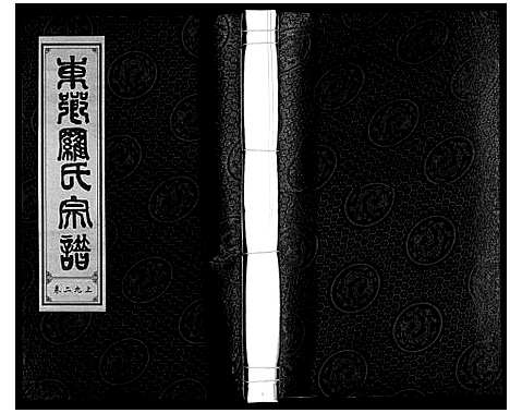 [下载][罗氏宗谱]安徽.罗氏家谱_三十.pdf