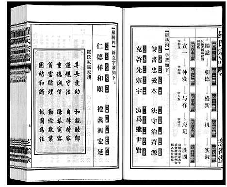 [下载][罗氏宗谱]安徽.罗氏家谱_三十.pdf