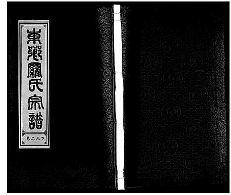 [下载][罗氏宗谱]安徽.罗氏家谱_三十一.pdf