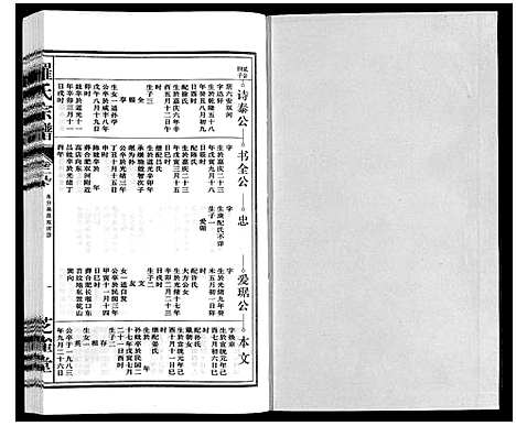 [下载][罗氏宗谱]安徽.罗氏家谱_三十一.pdf