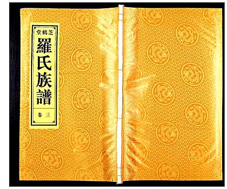 [下载][罗氏宗谱_4卷]安徽.罗氏家谱_三.pdf