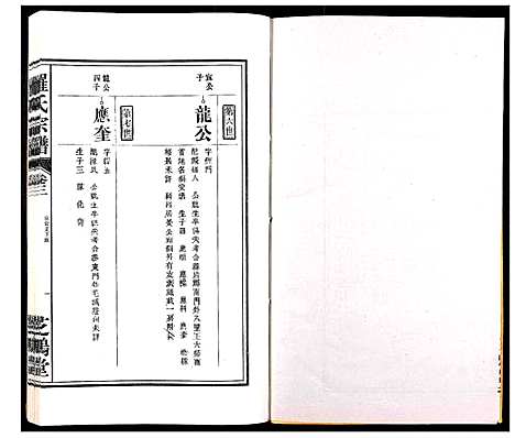 [下载][罗氏宗谱_4卷]安徽.罗氏家谱_三.pdf