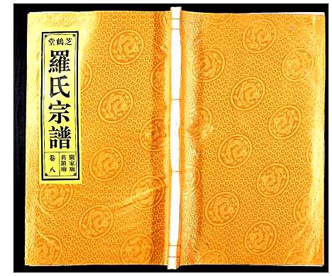 [下载][罗氏宗谱_8卷]安徽.罗氏家谱_八.pdf