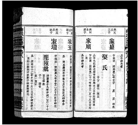 [下载][齐氏宗谱_21卷_齐氏宗谱]安徽.齐氏家谱_八.pdf