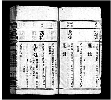 [下载][齐氏宗谱_21卷_齐氏宗谱]安徽.齐氏家谱_十五.pdf