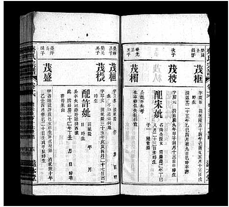 [下载][齐氏宗谱_21卷_齐氏宗谱]安徽.齐氏家谱_十五.pdf